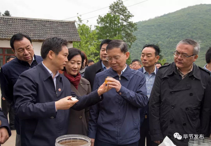 1524791399167198.jpg 郝明金在黔西縣花溪鄉(xiāng)鐘山村養(yǎng)蜂項(xiàng)目集中養(yǎng)殖點(diǎn)調(diào)研.jpg