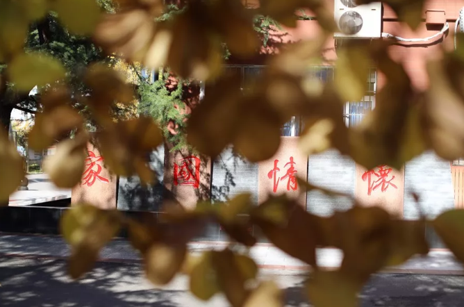 1585011957486921.png 12.png