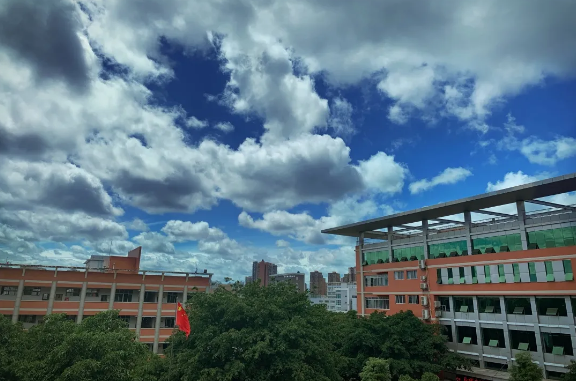 1588144198853363.png 19.png