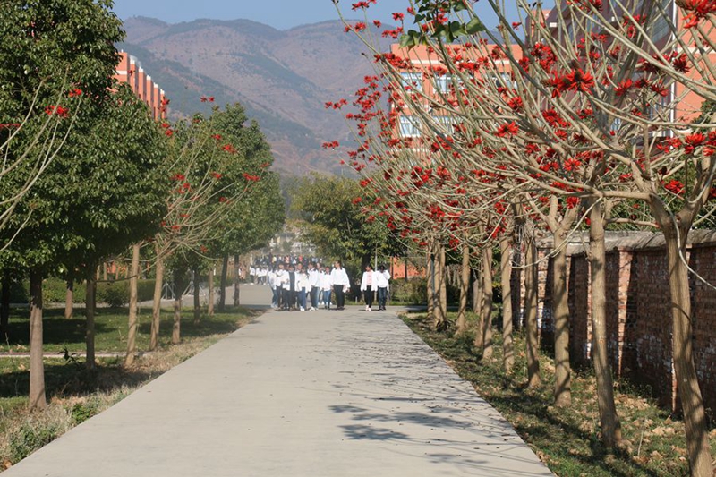 1603421617177581.jpg 4.jpg