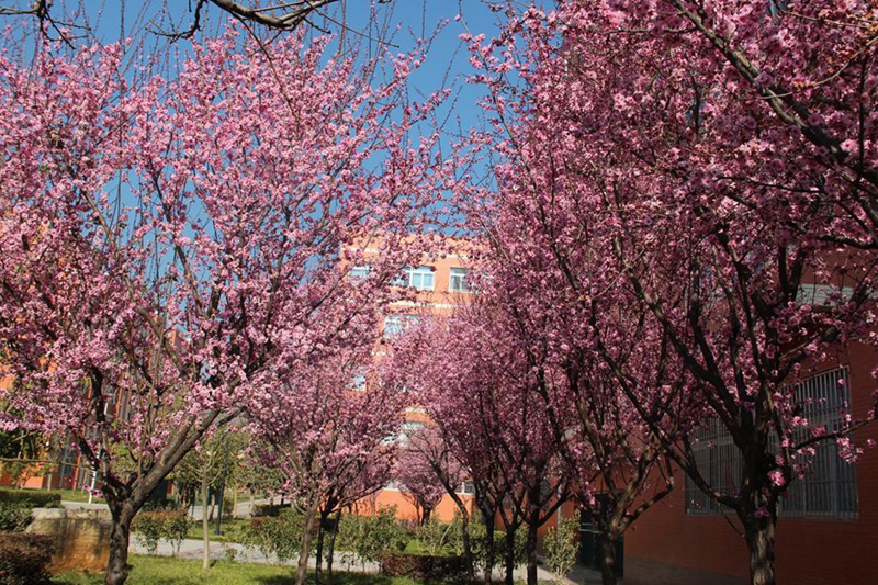 1603421630370738.jpg 5.jpg