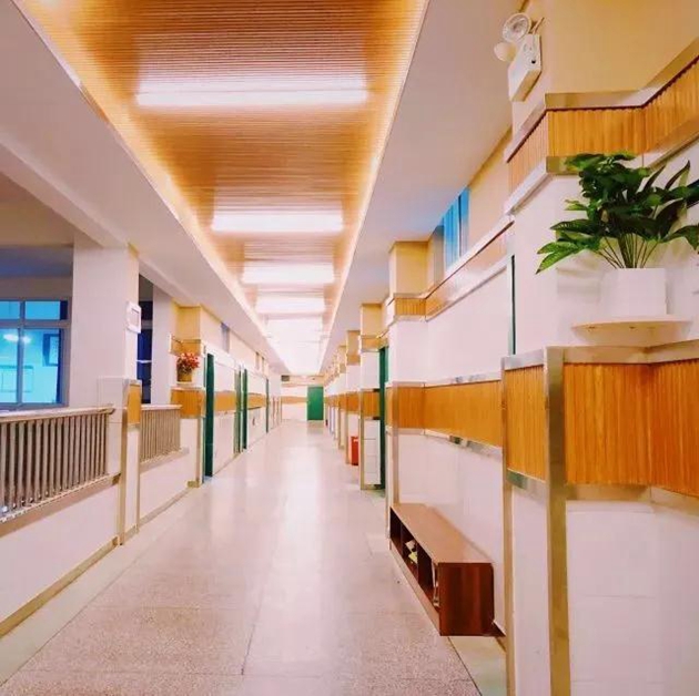 1617088445983036.jpg 16.jpg