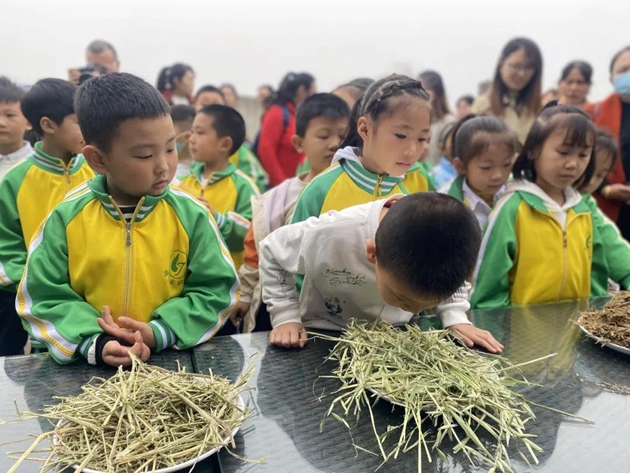 1617092674595769.jpg 44.jpg