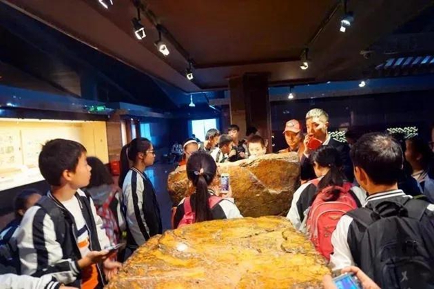 1617092778777759.jpg 50.jpg