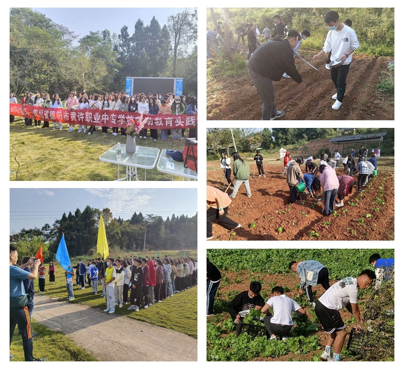 1666663228199091.jpg 黃許職中組織“9+3”學(xué)生參加勞動(dòng)教育實(shí)踐活動(dòng).jpg